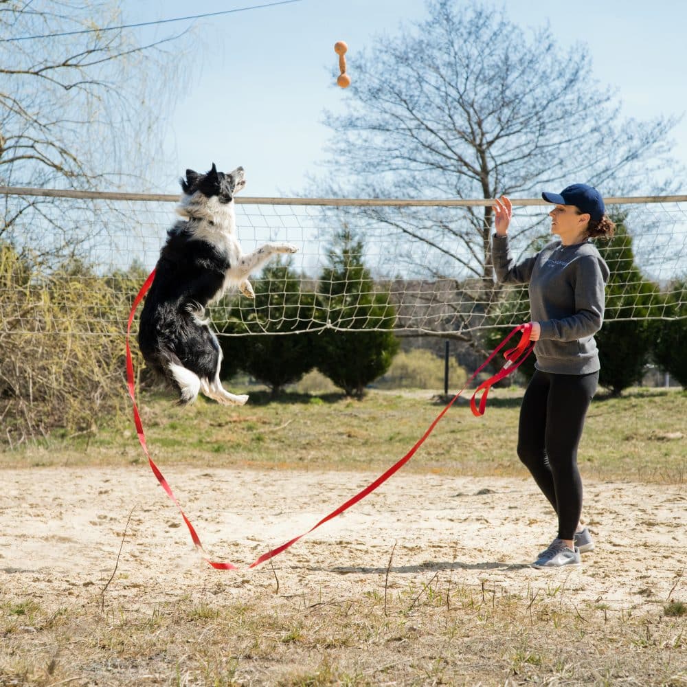Frau übt mit ihrem Hund und der Trainingsleine Tyson Sprünge in die Luft