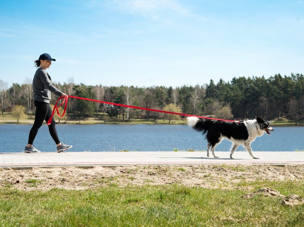 Frau geht mit ihrem Hund und der Trainingsleine Tyson spazieren
