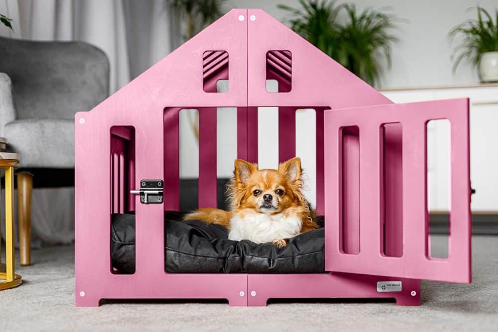Kleine Indoor-Hundehütte in pink - mit kleinem Chichuahua