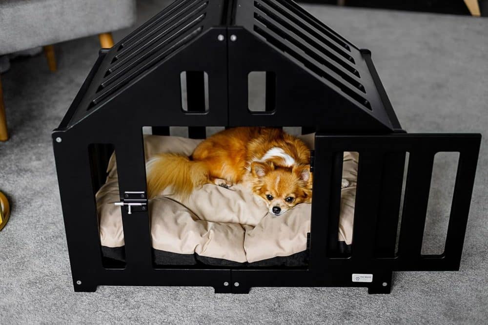 Kleine Indoor-Hundehütte in schwarz - Süßer Hund am liegen