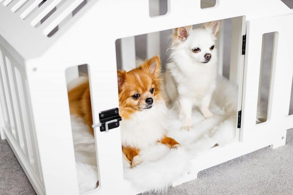 Kleine Indoor-Hundehütte in weiß - Mit 2 süßen Hunden