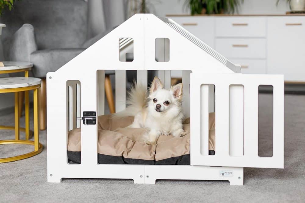 Kleine Indoor-Hundehütte in weiß - Mit süßem Hund